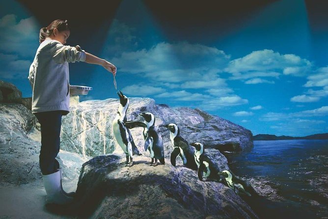 SEA LIFE Ocean World at Bangkok Admission Ticket - The Sum Up