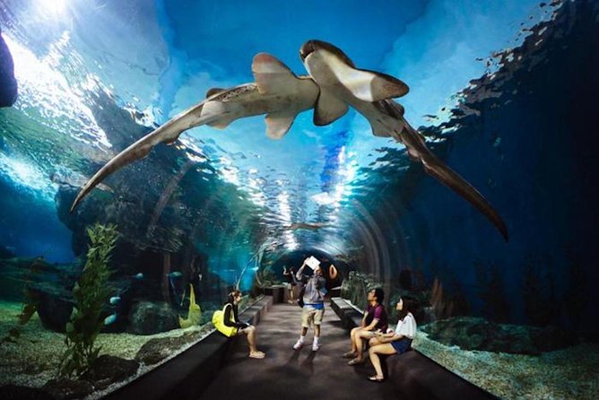 SEA LIFE Ocean World in Bangkok Admission Ticket - Additional Information