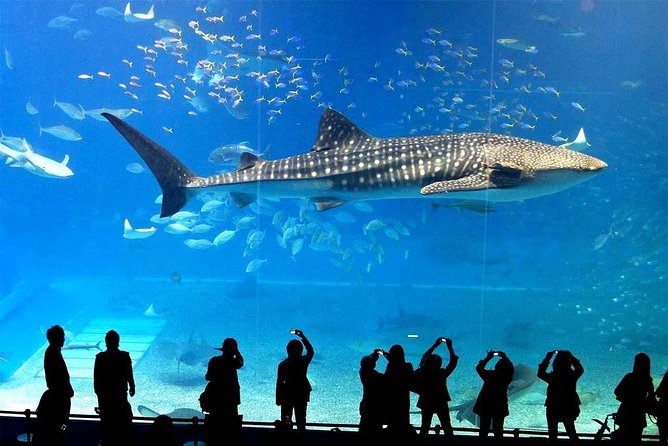 SEA LIFE Ocean World in Bangkok Admission Ticket - The Sum Up