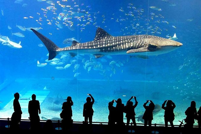 SEA LIFE Ocean World in Bangkok Admission Ticket - Overview