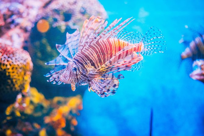 SEA LIFE Ocean World in Bangkok Admission Ticket - Common Questions