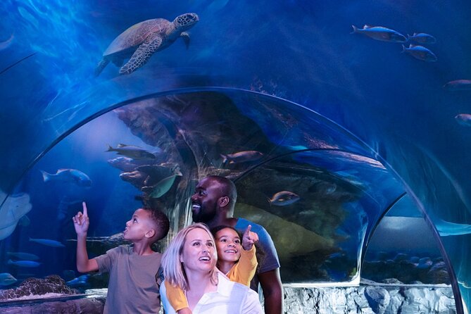 SEA LIFE Orlando Aquarium - What to Expect at SEA LIFE Orlando Aquarium