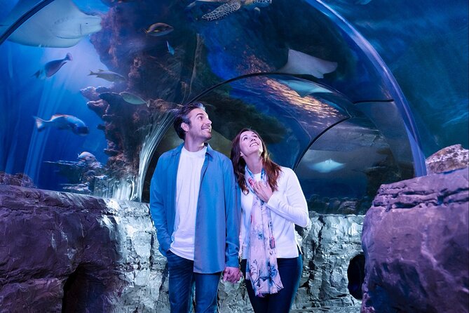 SEA LIFE Orlando Aquarium - Common Questions