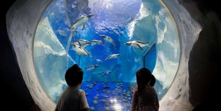 SEA LIFE Paris: Admission Ticket - Experience at SEA LIFE Paris