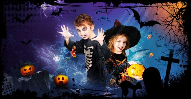 SEA LIFE Paris: Admission Ticket - Full Description of SEA LIFE Paris