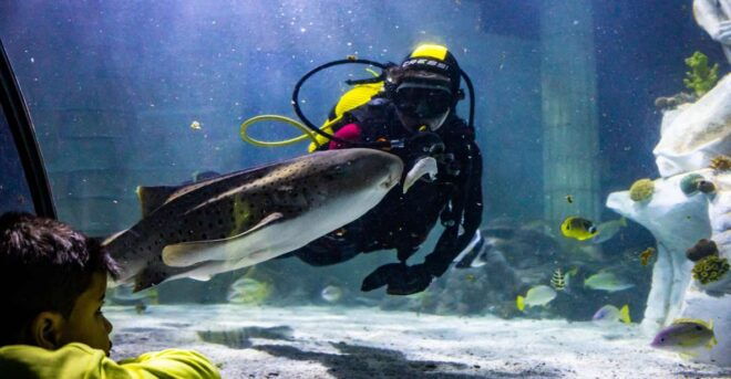 SEA LIFE Porto Full-Day Entrance Ticket - Selecting Participants and Date