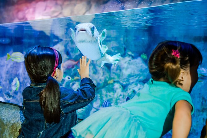 SEA LIFE San Antonio Admission Ticket - Cancellation Policy