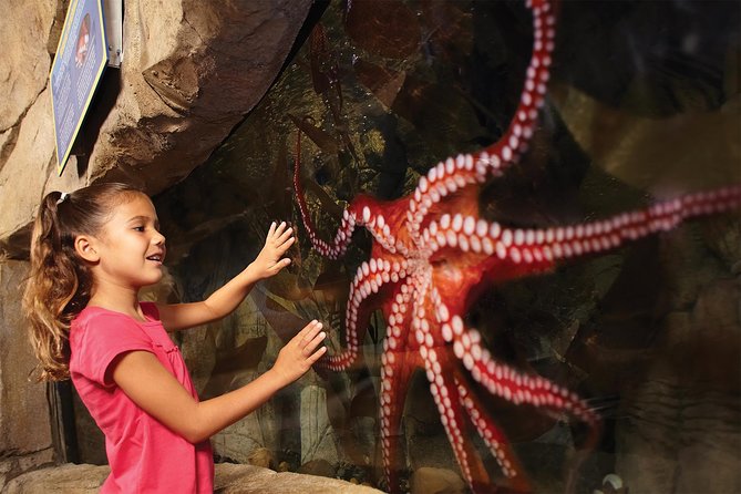 SEA LIFE San Antonio Admission Ticket - Traveler Photos and Reviews