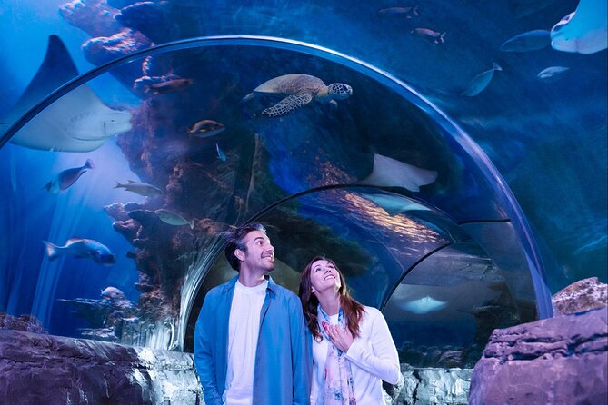 SEA LIFE San Antonio Admission Ticket - Directions to SEA LIFE San Antonio