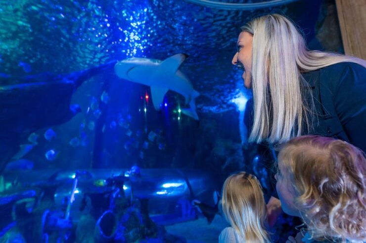 Sea Life Scarborough - Ticket Information