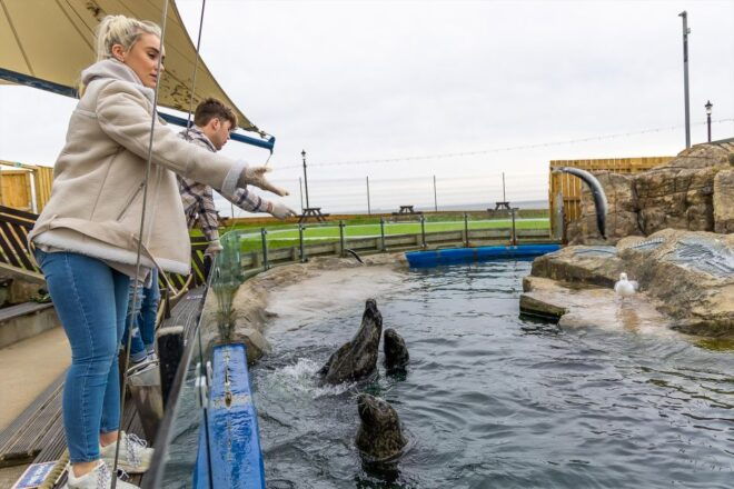Sea Life Scarborough - Location and Parking