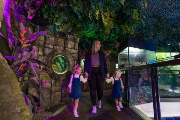 Sea Life Scarborough - Common Questions