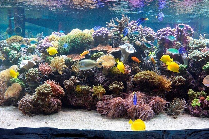 SEA LIFE Speyer Admission Ticket - Booking and Flexibility