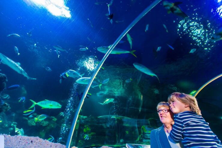 Sea Life Speyer Ticket - Experience Highlights