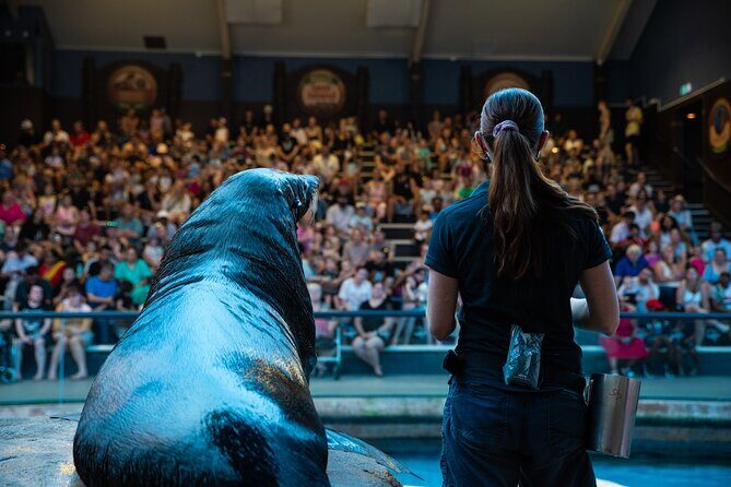 SEA LIFE Sunshine Coast Aquarium Entrance Ticket - Good To Know