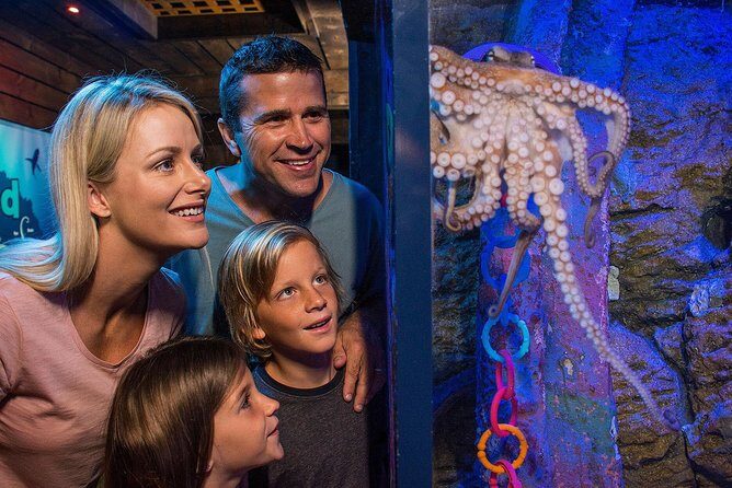 SEA LIFE Sunshine Coast Aquarium Entrance Ticket - A Closer Look at the Tour Experience