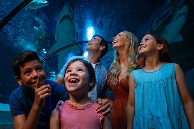 SEA LIFE Sunshine Coast Aquarium Entrance Ticket - FAQ
