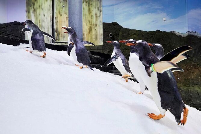 SEA LIFE Sydney Aquarium Entrance Ticket - Pricing and Ticket Information