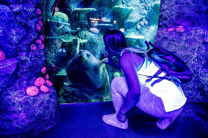 SEA LIFE Sydney Aquarium Entrance Ticket - Inclusions in the Ticket
