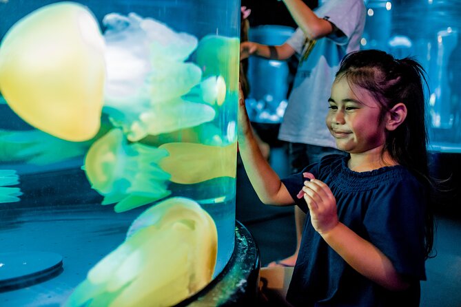 SEA LIFE Sydney Aquarium Entrance Ticket - Visitor Reviews and Feedback