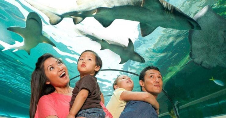 SEA LIFE Sydney Aquarium - Ticket Details at SEA LIFE Sydney Aquarium
