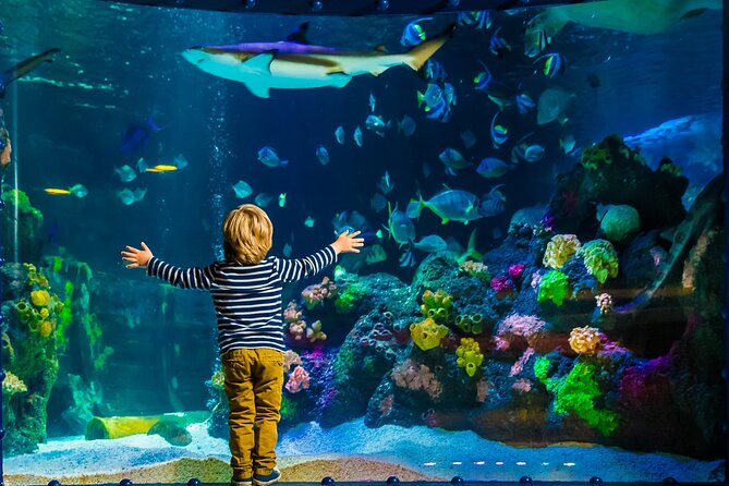 SEA LIFE Timmendorfer Strand Admission Ticket - Overview of SEA LIFE Timmendorfer Strand