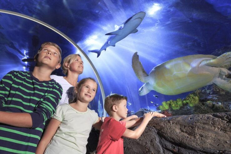 SEA LIFE Timmendorfer Strand Ticket - Ticket Information