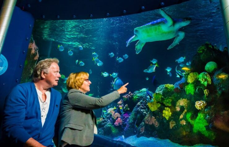 SEA LIFE Timmendorfer Strand Ticket - Experience