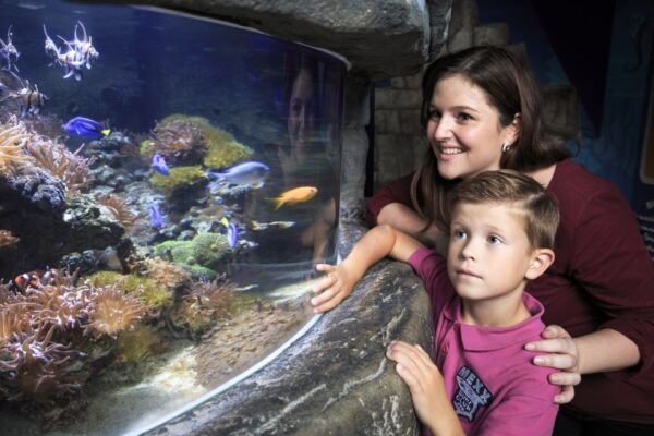 SEA LIFE Timmendorfer Strand Ticket - Common Questions