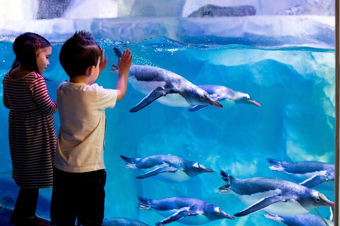 SEA LIFE Val Deurope Paris General Admission - Activities and Interactions