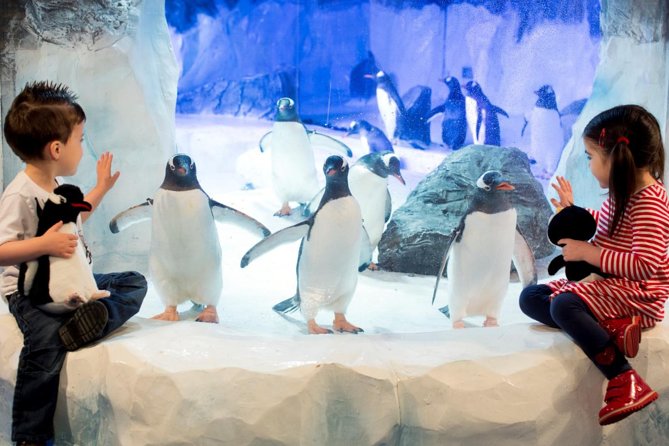 SEA LIFE Val Deurope Paris General Admission - Ticket Details and Refund Policy