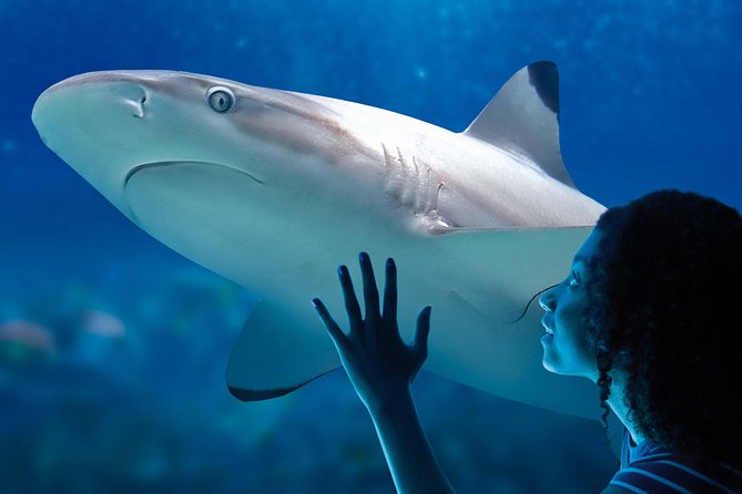 SEA LIFE Val Deurope Paris General Admission - Traveler Photos