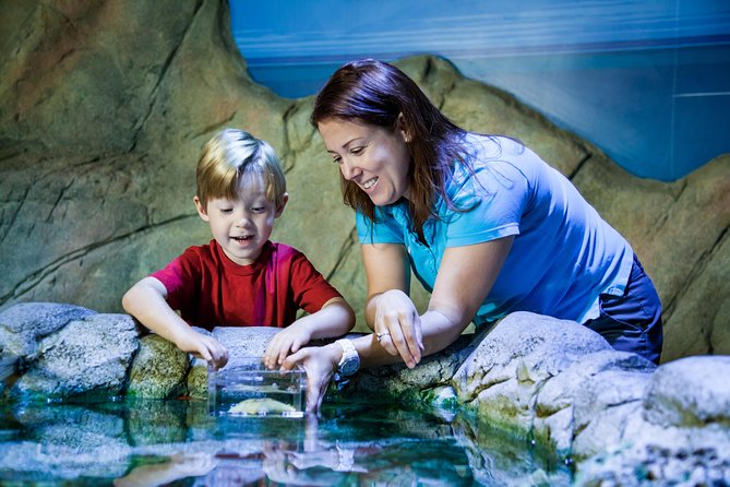 SEA LIFE Val Deurope Paris General Admission - Additional Information