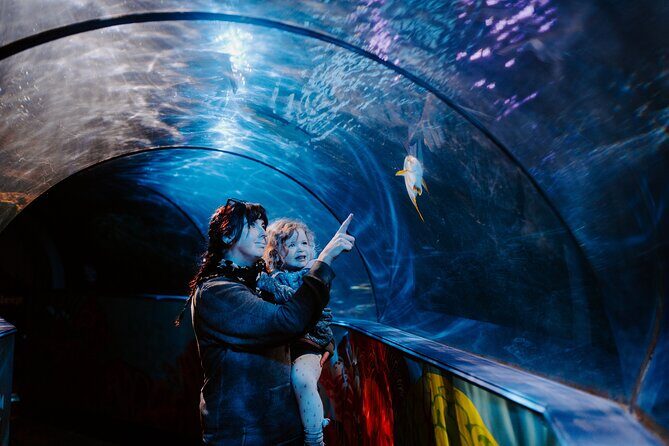 SEA LIFE Weymouth Admission Ticket - Good To Know