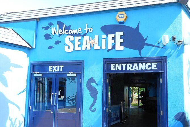 SEA LIFE Weymouth Admission Ticket - Exploring Weymouth SEA LIFE Centre: An Underwater Adventure for All