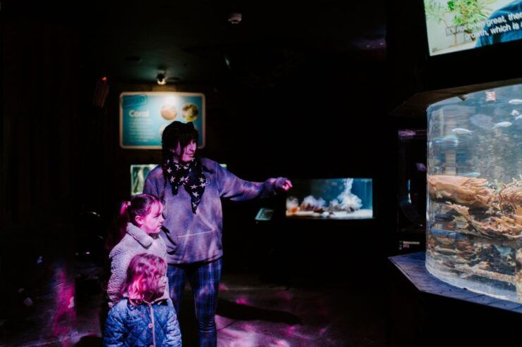 Sea Life Weymouth Admission Ticket - Experience Highlights
