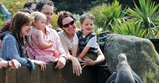 Sea Life Weymouth Admission Ticket - Visit Details