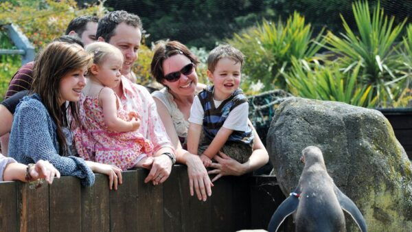 Sea Life Weymouth Admission Ticket - Free Cancellation and Flexibility