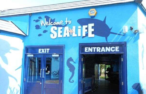 Sea Life Weymouth Admission Ticket - How to Book and Get There