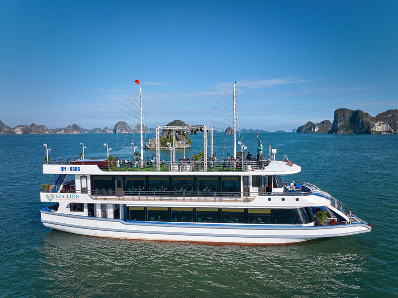 Sea Lion Day Cruise: Ha Long Bay, Sung Sot, Ti Top - What to know before booking