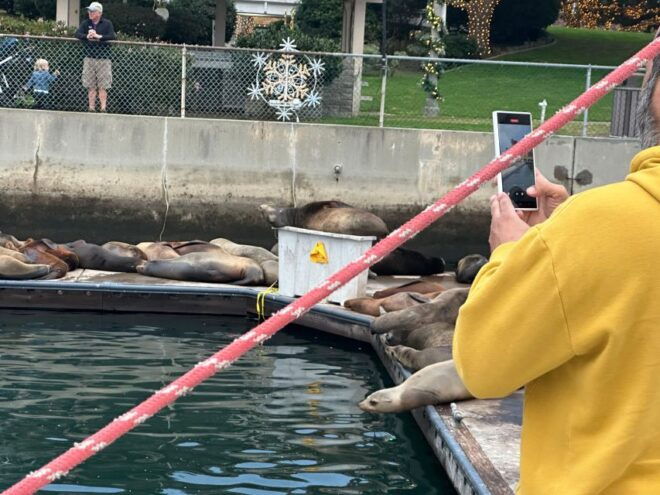 Sea Lion Excursion - Booking Information