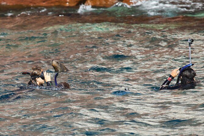 Sea Lions & Mega-Paddleboard Tour in Espiritu Santo - An In-Depth Look at the Tour Itinerary and Experience