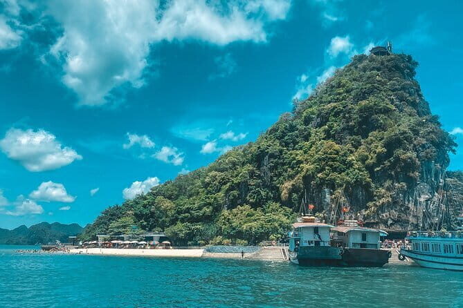 Sea Octopus Cruise - 5 Star Luxury YATCH Halong Bay Heritage Site - Who Should Consider This Tour?