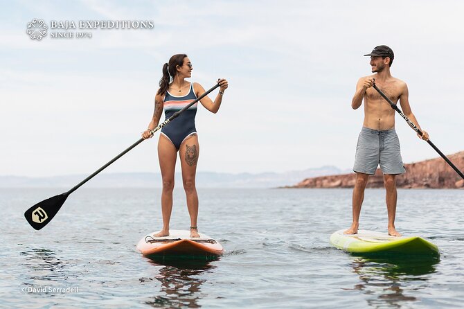 Sea of Cortez Day Adventure Activity With Snorkel and Paddleboard in La Paz - Snorkeling in the Sea of Cortez