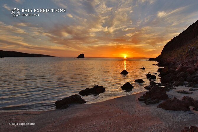 Sea of Cortez Day Adventure Activity With Snorkel and Paddleboard in La Paz - Exploring the Ecosystem
