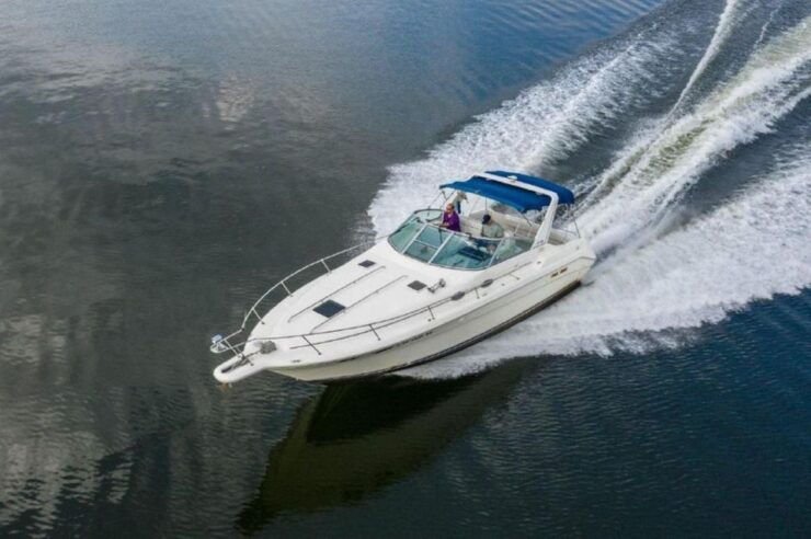 Sea Ray 330 With Captain for 10 People! - Activity Overview