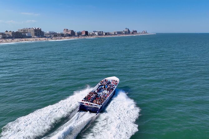 Sea Rocket Speed Boat & Dolphin Cruise in Ocean City - Overview and Schedule