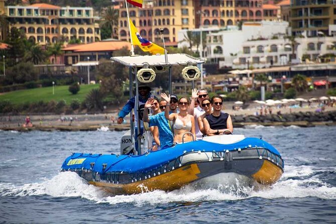 SEA SAFARI, Dolphins, Whales, Snorkeling, Snack, Drink, 2 H Private Speedboat - Tour Details