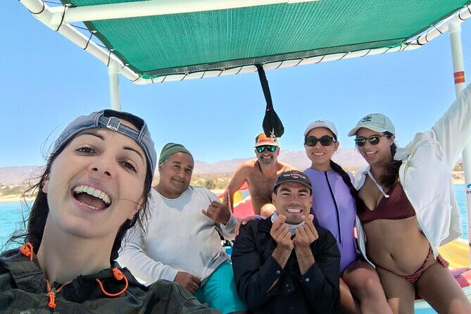Sea Safari - Explore All The Wonders of The Sea of Cortez - Booking, Pricing, and Practicalities