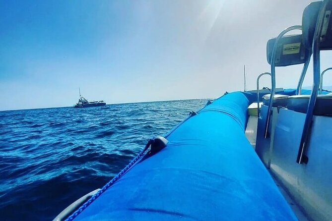 SEA SAFARI Masca, Dolphins, Whales, Snorkeling, Snack, Drink, 3h Private - Pricing and Copyright Information